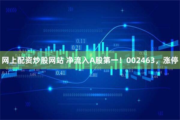 网上配资炒股网站 净流入A股第一！002463，涨停