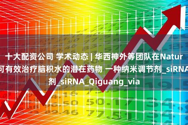 十大配资公司 学术动态 | 华西神外等团队在Nature子刊首次报道可有效治疗脑积水的潜在药物 一种纳米调节剂_siRNA_Qiguang_via
