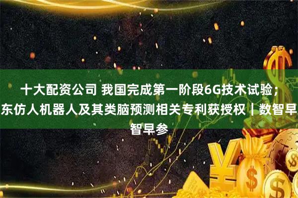 十大配资公司 我国完成第一阶段6G技术试验；京东仿人机器人及其类脑预测相关专利获授权｜数智早参